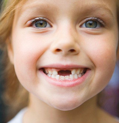 Защо млечните ни зъби падат?