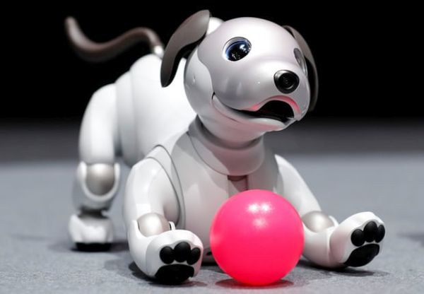 Домашните любимци вече никога няма да са същите с новите кучета роботи